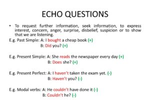 گرامر echo question