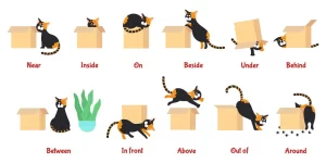 گرامر تمام Prepositions در زبان انگلیسی