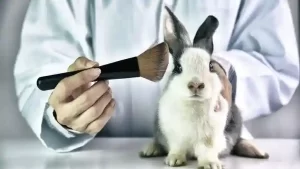 لغات مربوط به animal testing