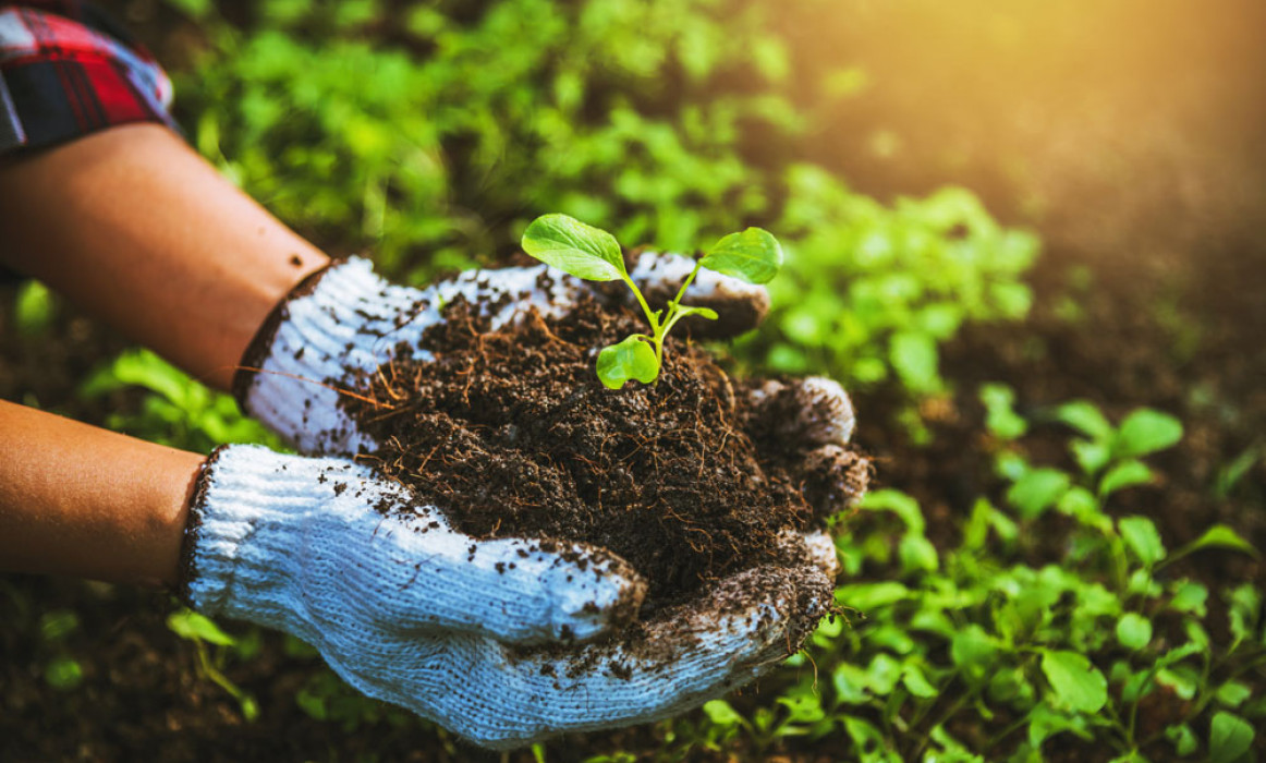 لغات مربوط به agriculture