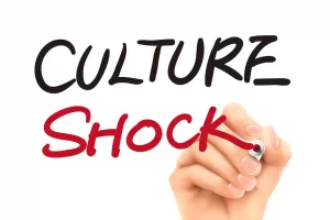 لغات مربوط به Culture Shock