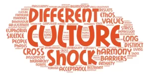 لغات مربوط به Culture Shock